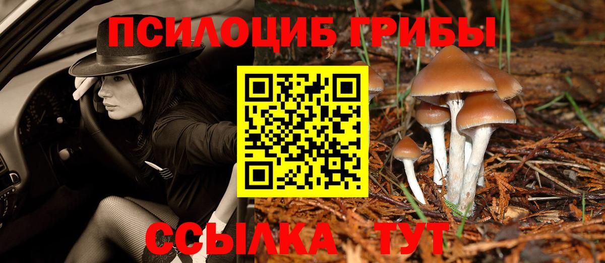 Сокол  Галлюциногенные грибы MAGIC MUSHROOMS  Вход с VPN  Галлюциногенные грибы ЛСД 